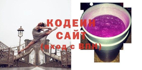 соль ск Белокуриха