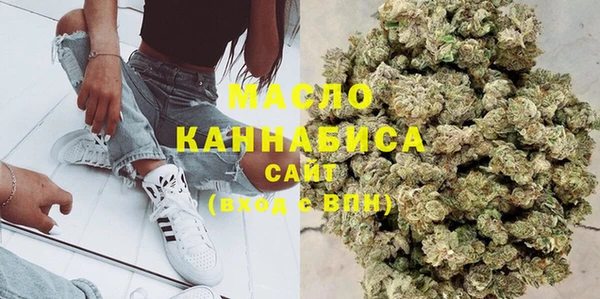 индика Дмитриев