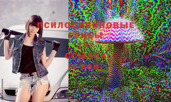 a pvp Белоозёрский