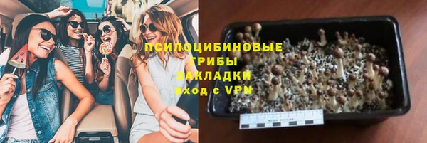 мяу мяу мука Дмитров