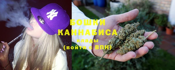соль ск Белокуриха