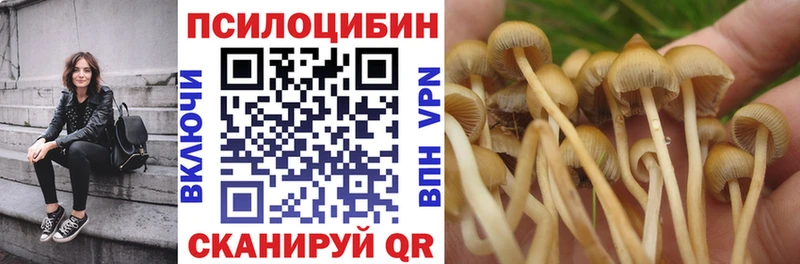 Псилоцибиновые грибы Psilocybine cubensis закладка kraken маркетплейс Мариинский Посад