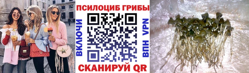 Галлюциногенные грибы GOLDEN TEACHER Мариинский Посад