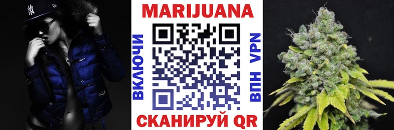 где найти наркотики  Мариинский Посад  это как зайти  Канабис индика 
